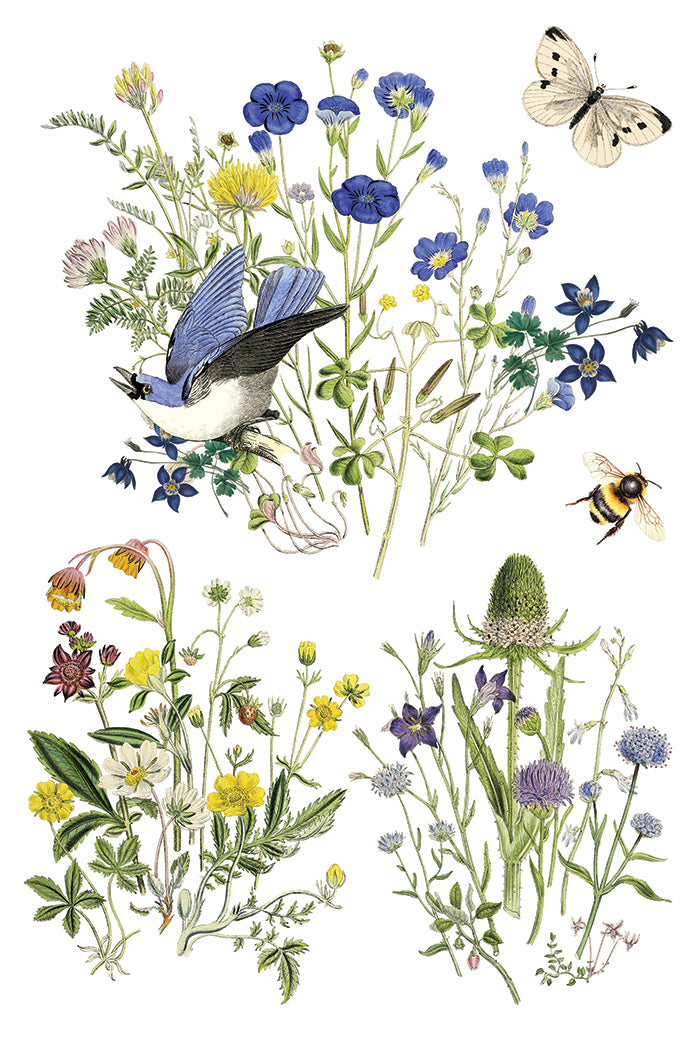 Illustration of birds, butterflies, and bees among flowers and plants from Iron Orchid Designs
