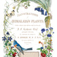 Illustrations of Himalayan plants with birds, butterflies, and flowers on a white background from Iron Orchid Designs