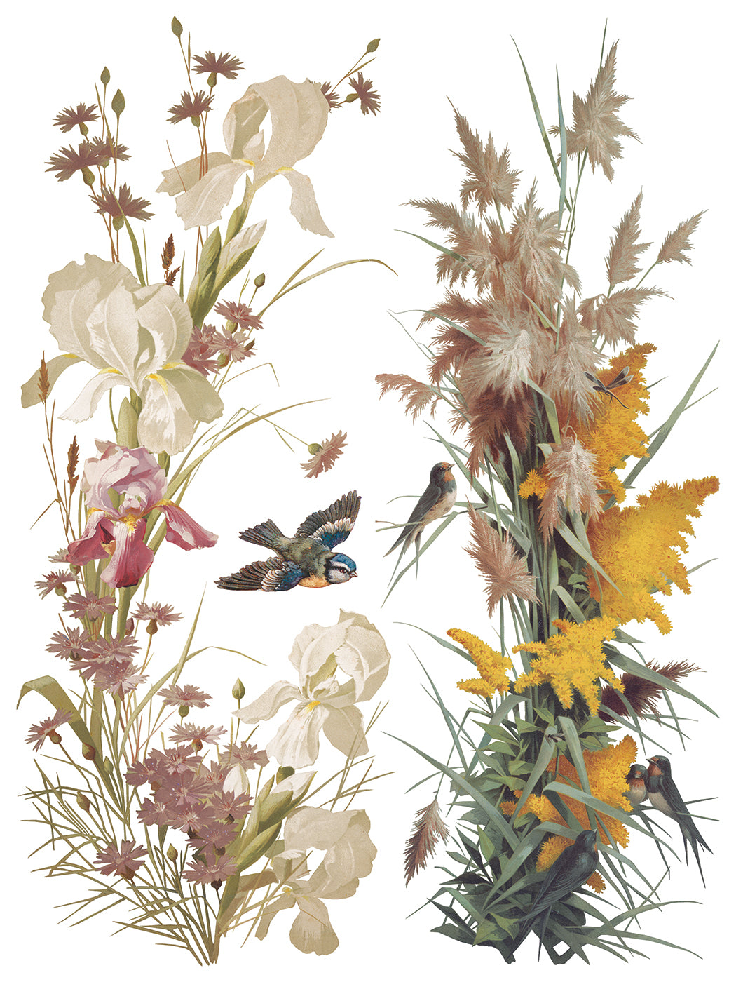 Illustration of flowers and birds on a white background from Iron Orchid Designs Flowers By The Poets transfer