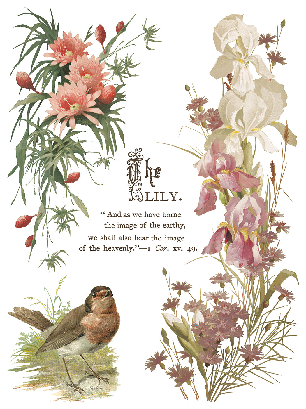 Vintage-style illustration of flowers and a robin with text on a white background from Iron Orchid Designs Flowers By The Poets transfer