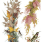Decorative elements with flowers, birds, and plants on a white background from Iron Orchid Designs Flowers By The Poets transfer
