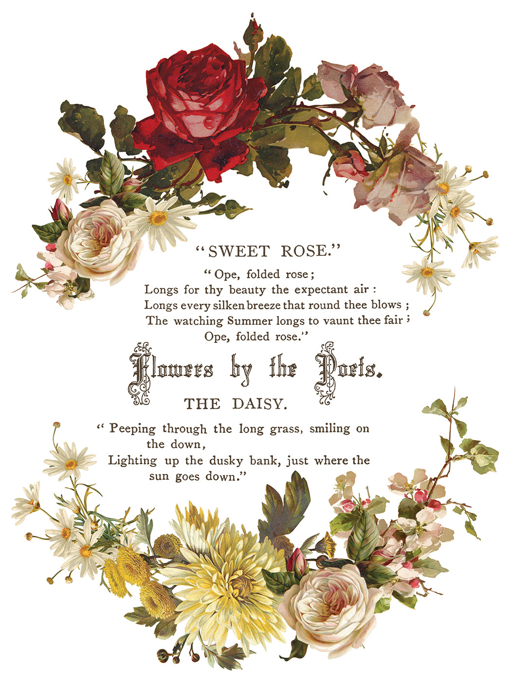 Decorative floral design with text on a white background from Iron Orchid Designs Flowers By The Poets transfer