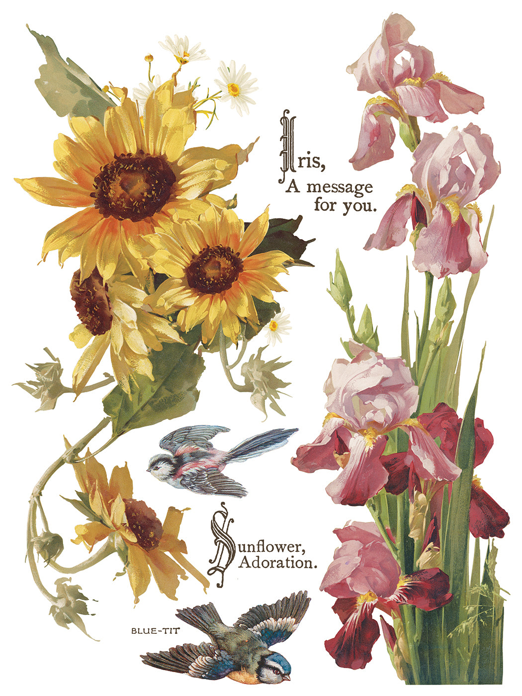 Illustration of sunflowers and irises with text on a white background from Iron Orchid Designs Flowers By The Poets transfer