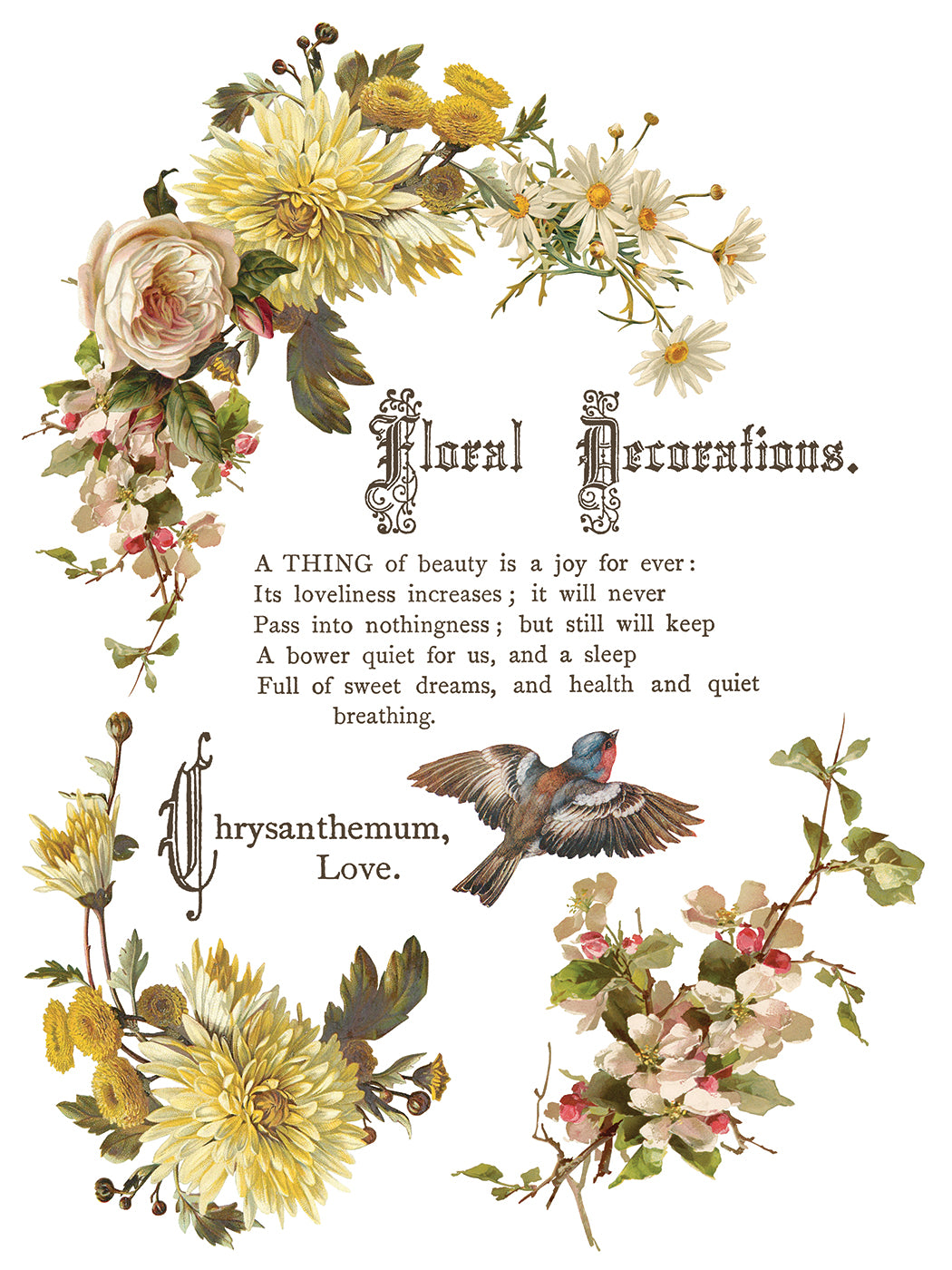 Floral decorations with text and a bird illustration on a white background from Iron Orchid Designs Flowers By The Poets transfer