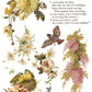 Vintage-style illustration with flowers, birds, and text on a white background from Iron Orchid Designs Flowers By The Poets transfer