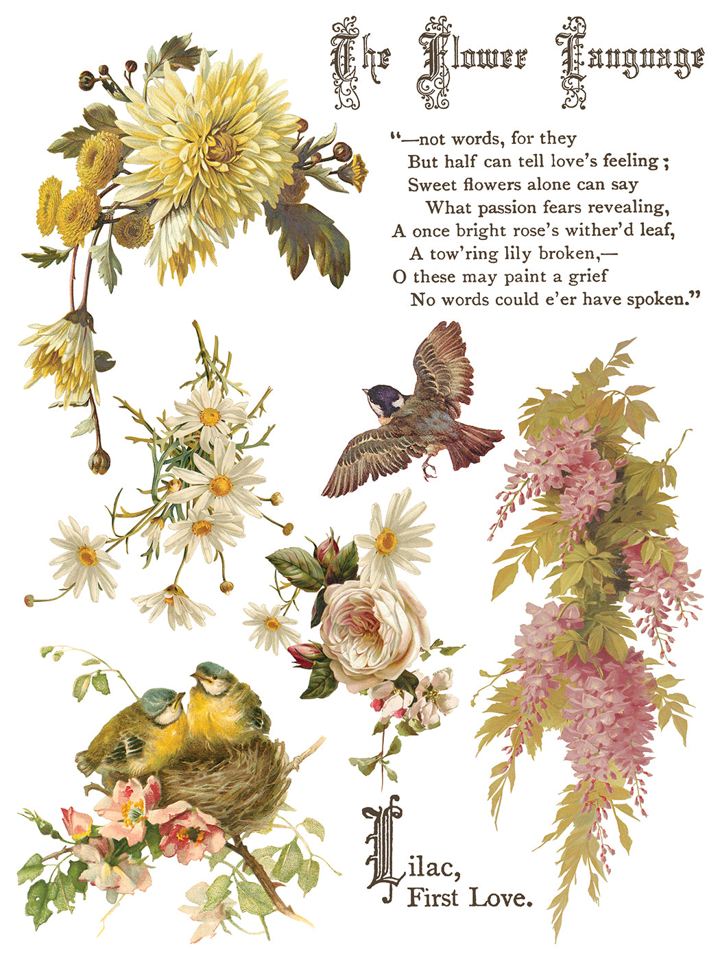 Vintage-style illustration with flowers, birds, and text on a white background from Iron Orchid Designs Flowers By The Poets transfer