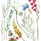 Illustration of various flowers, leaves, and butterflies on a white background from Iron Orchid Designs Marche des Fleurs