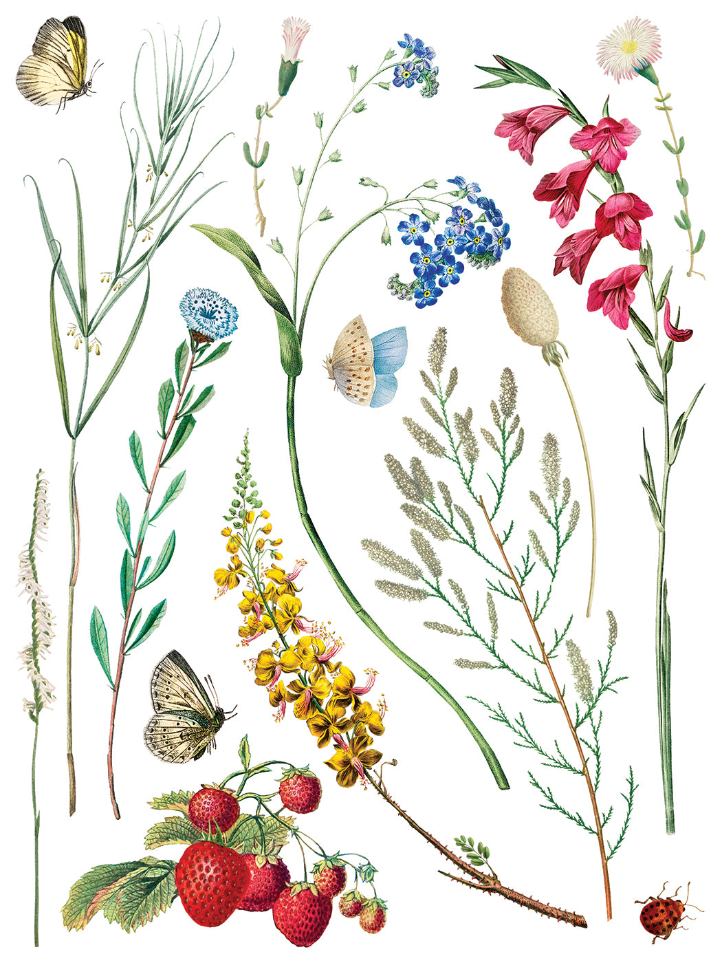 Illustration of various flowers, leaves, and butterflies on a white background from Iron Orchid Designs Marche des Fleurs