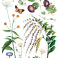 Illustration of various plants and butterflies on a white background from Iron Orchid Designs Marche des Fleurs