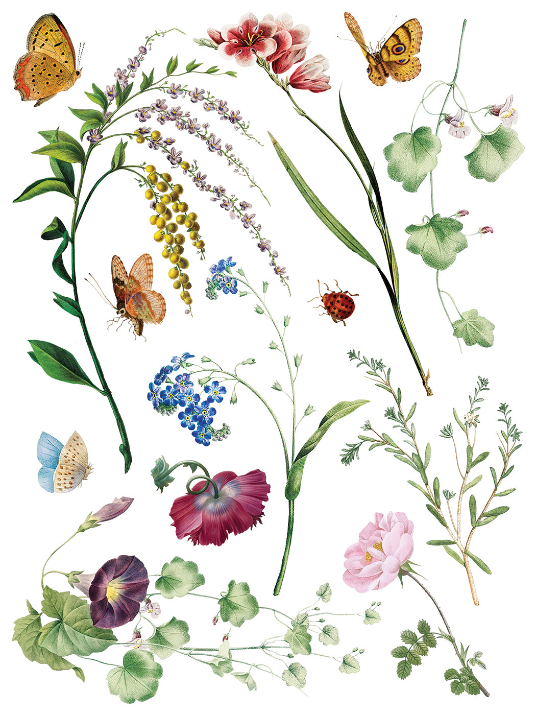 Illustration of various flowers and butterflies on a white background from Iron Orchid Designs Marche des Fleurs