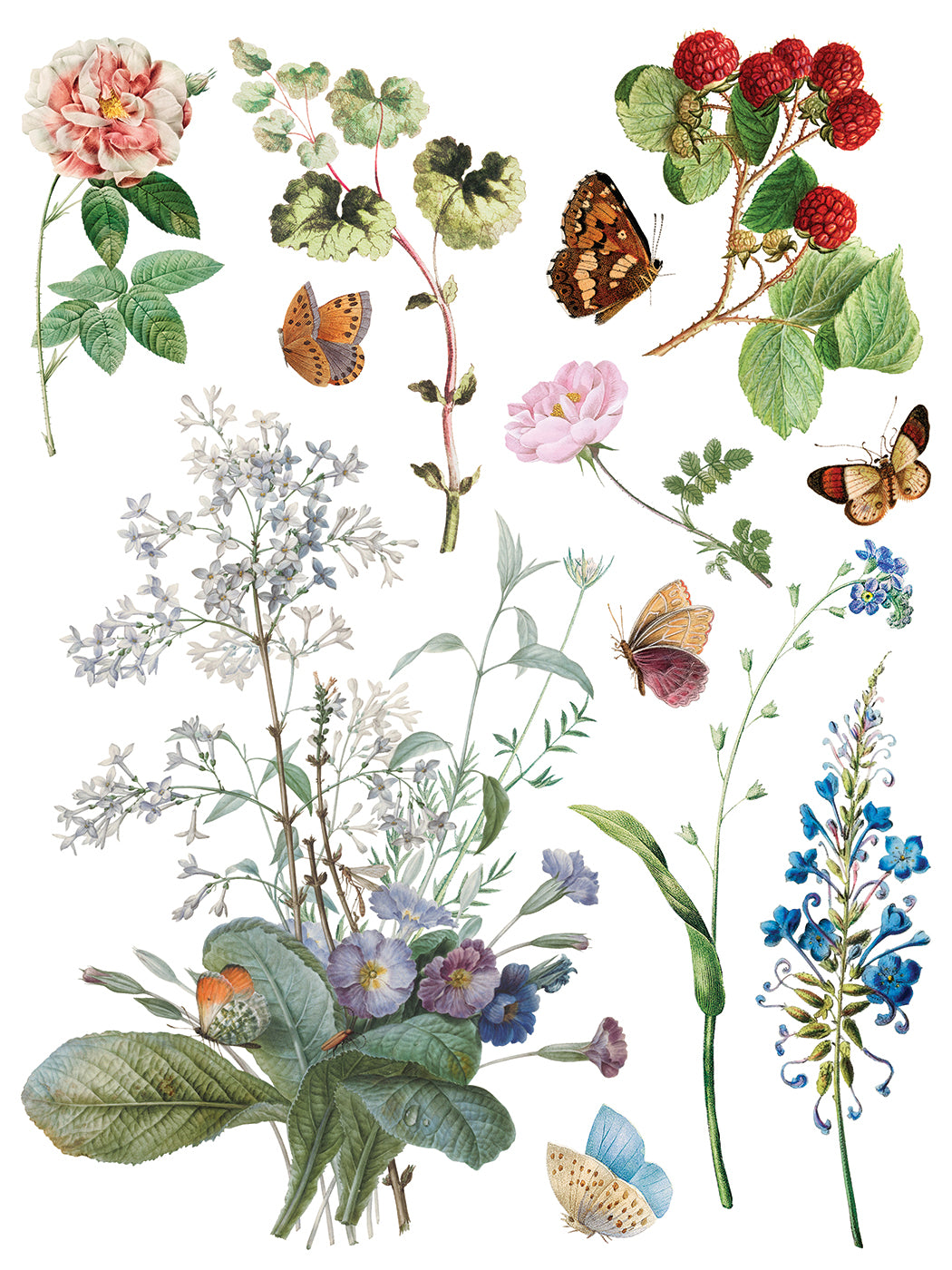 Illustration of various flowers, leaves, and butterflies on a white background from Iron Orchid Designs Marche des Fleurs
