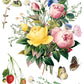 Illustration of flowers, leaves, and butterflies on a white background from Iron Orchid Designs Marche des Fleurs