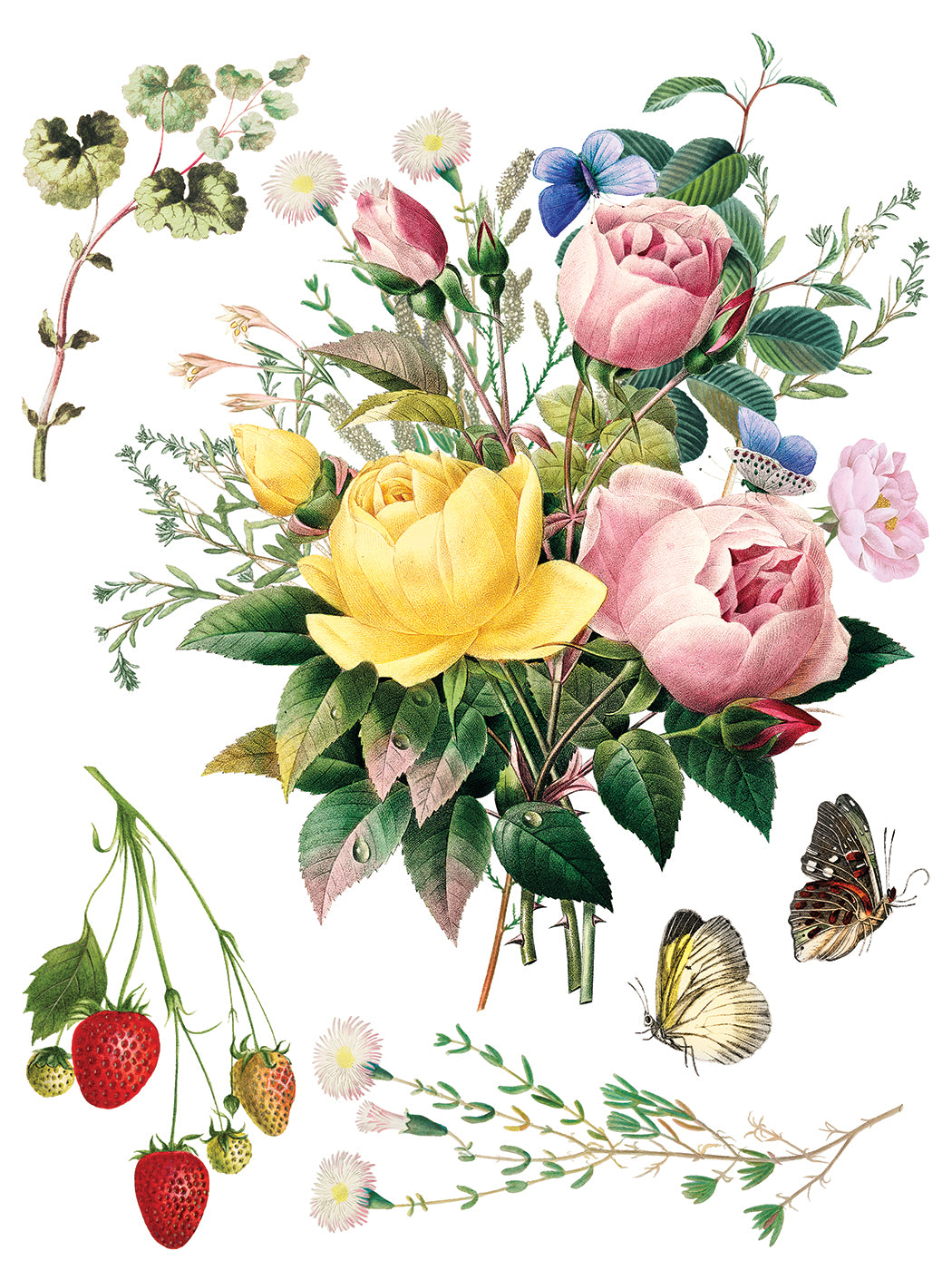 Illustration of flowers, leaves, and butterflies on a white background from Iron Orchid Designs Marche des Fleurs