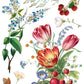 Illustration of flowers, berries, and leaves on a white background from Iron Orchid Designs Marche des Fleurs