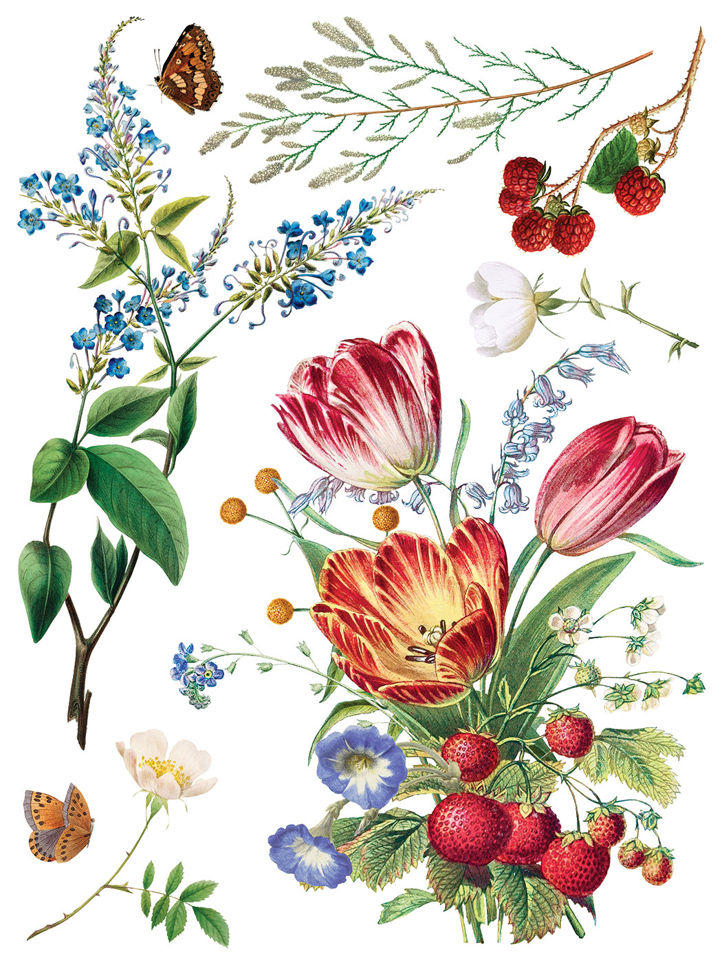 Illustration of flowers, berries, and leaves on a white background from Iron Orchid Designs Marche des Fleurs