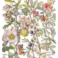 Illustration of wild flowers of the British Isles with plant names labelled from Iron Orchid Designs Primrose Isle Transfer