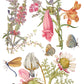 Illustration of various flowers, butterflies, and a frog on a white background from Iron Orchid Designs Primrose Isle Transfer