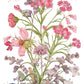 Illustration of flowers and butterflies with a quote by Alfred Tennyson on a white background from Iron Orchid Designs Primrose Isle Transfer