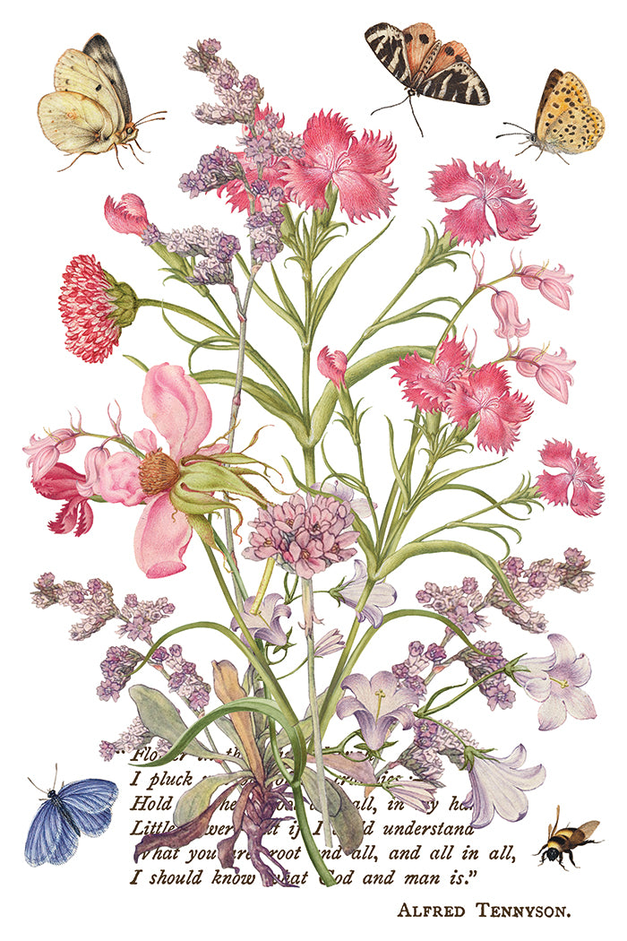 Illustration of flowers and butterflies with a quote by Alfred Tennyson on a white background from Iron Orchid Designs Primrose Isle Transfer