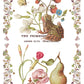 Illustration of a frog among flowers and fruits with text 'The Primrose' at the top from Iron Orchid Designs Primrose Isle Transfer