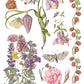Illustration of flowers and butterflies on a white background from Iron Orchid Designs Primrose Isle Transfer