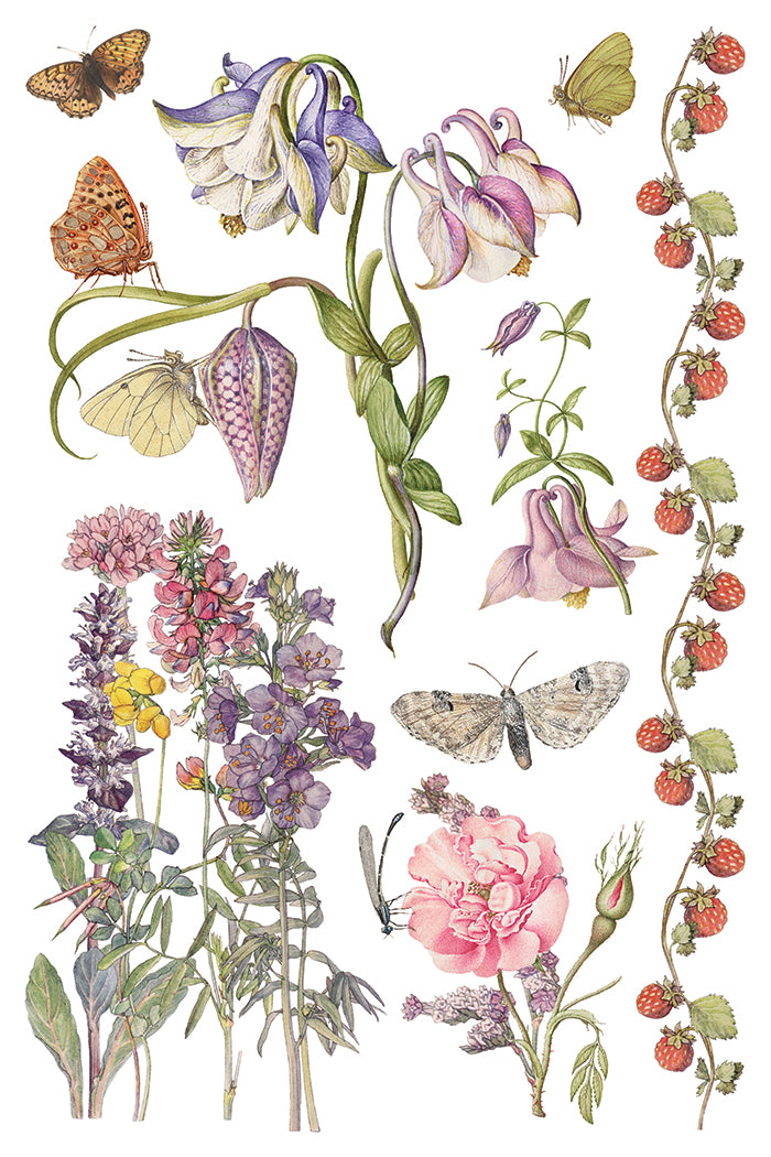 Illustration of flowers and butterflies on a white background from Iron Orchid Designs Primrose Isle Transfer