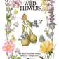 Illustration of wildflowers and fruits with text 'Wild Flowers' and 'The Bell-Flower Family' from Iron Orchid Designs Primrose Isle Transfer