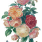 Colorful bouquet of roses with butterflies on a white background by Iron Orchid Designs
