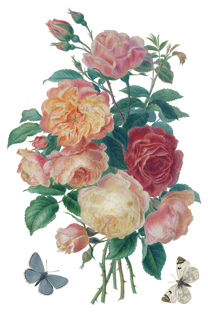 Colorful bouquet of roses with butterflies on a white background by Iron Orchid Designs