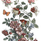 Illustration of flowers and butterflies on a white background by Iron Orchid Designs