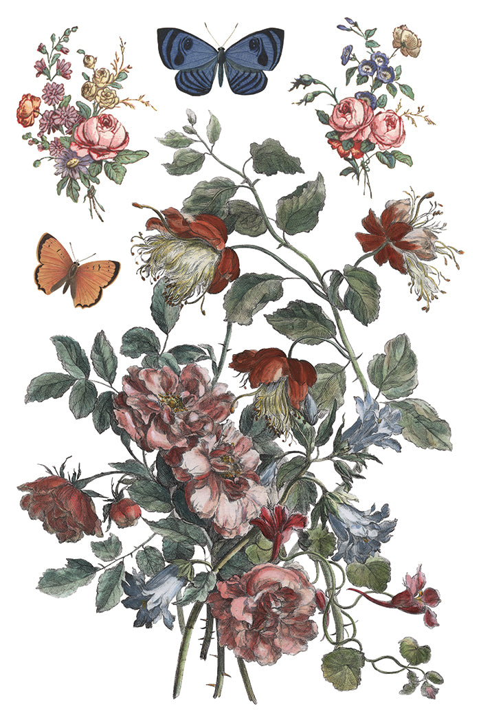 Illustration of flowers and butterflies on a white background by Iron Orchid Designs