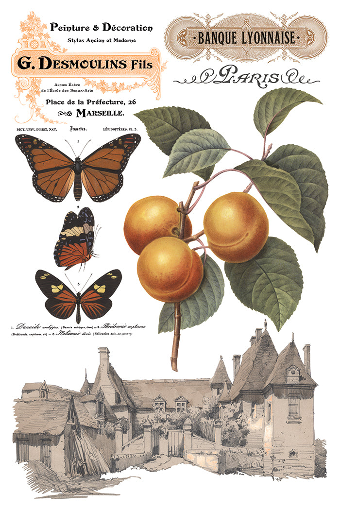 Vintage-style illustration with butterflies, apples, and a building  by Iron Orchid Designs