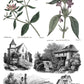 Illustrations of plants and small buildings or scenes on a white background by Iron Orchid Designs