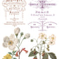 Vintage-style botanical illustration with floral elements and decorative text on a white background.