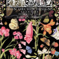 Iron Orchid Designs transfer packaging with floral and butterfly design on a black background from Iron Orchid Designs Primrose Isle Transfer