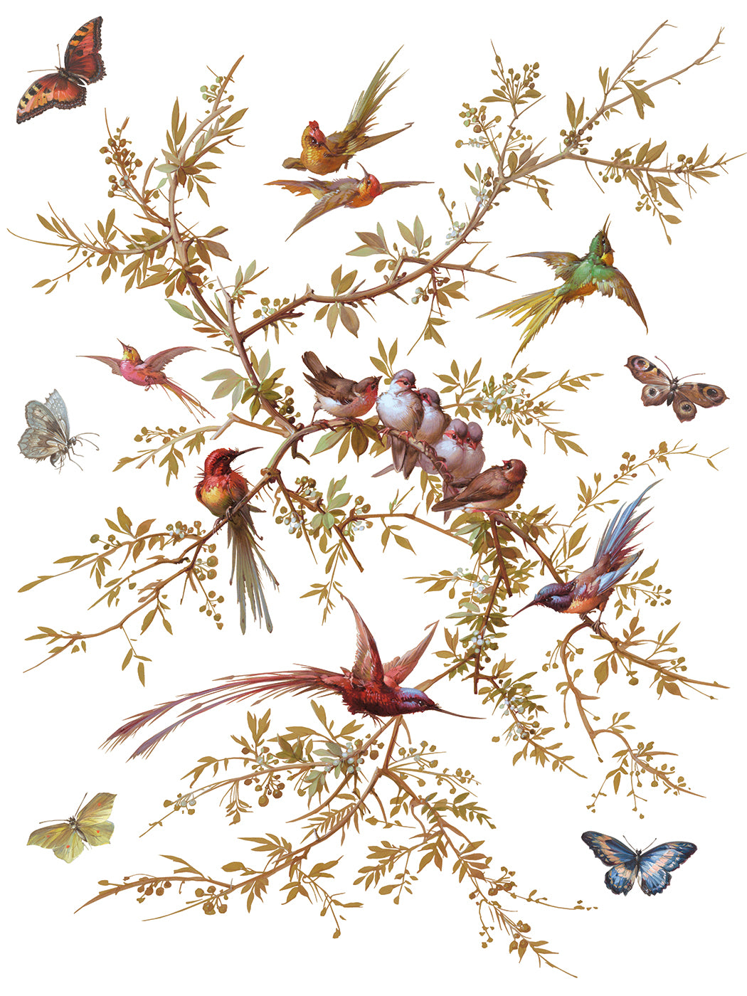 Illustration of birds and butterflies on a white background from Iron Orchid Designs Madeleine transfer