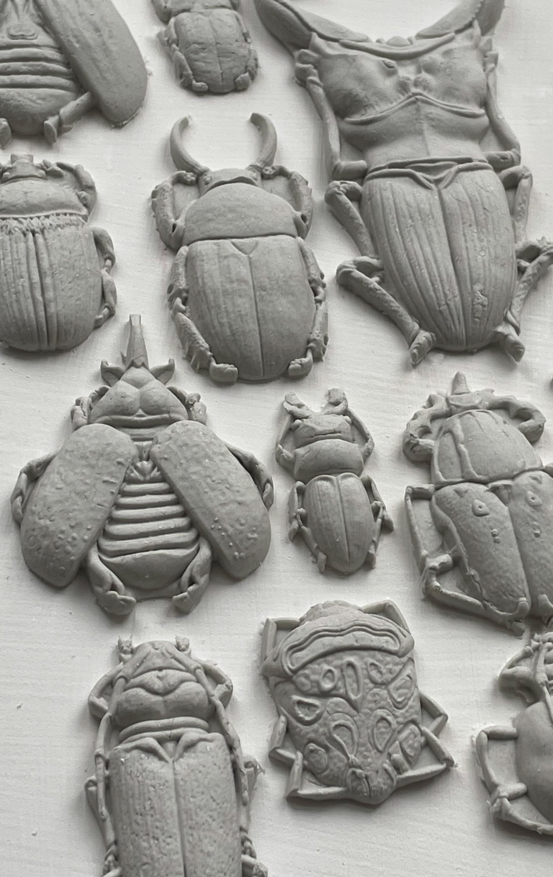 White clay castings on a white background from Iron Orchid Designs Specimens mould. The image shows intricately designed beetles and bugs