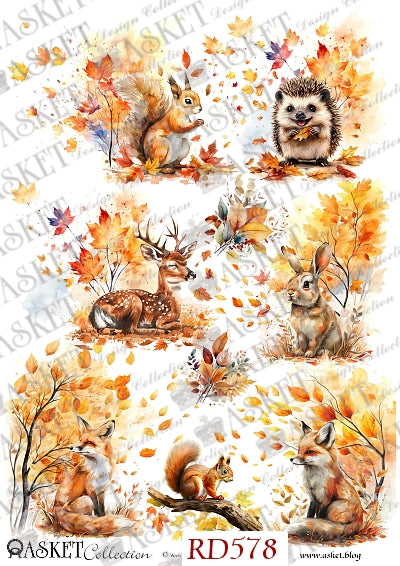 A sheet of watercolor-style autumn animal illustrations featuring a squirrel, hedgehog, deer, rabbit, fox, and smaller squirrels surrounded by orange and yellow leaves on a white background. The sheet includes repeated faint 'ASKET Collection' watermarks and the text 'RD578' and 'www.