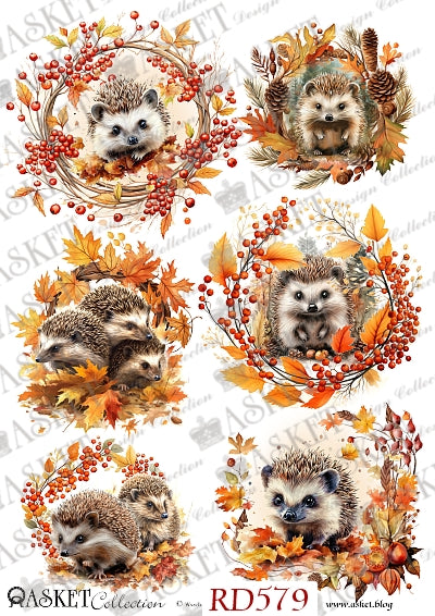 A sheet of six autumn-themed hedgehog illustrations, each framed in a circular wreath of orange leaves, red berries, and pinecones on a white background. Watermarks for 'ASKET Collection' 