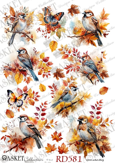 A sheet of watercolor-style bird and autumn leaf illustrations on a white background, with multiple sparrow-like birds, butterflies, and orange/yellow/red leaves. Visible text includes 'ASKET Collection', 'RD581', and a website watermark.