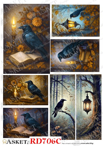An assortment of images of a black crow. Asket Collection