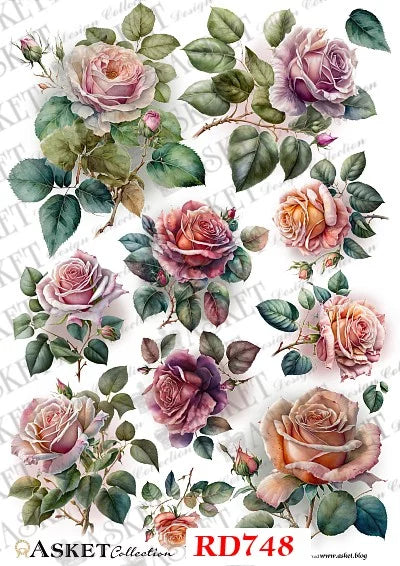 Pattern of colorful roses and green leaves on a white background with 'asket' branding.
