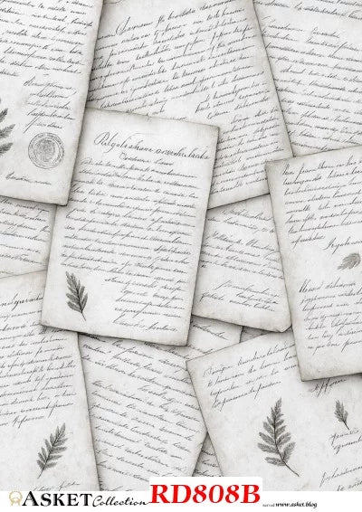 A collage of overlapping aged paper sheets with handwritten cursive text and small botanical illustrations, arranged in a flat-lay style. A watermark at the bottom reads ASKET Collection RD808B.