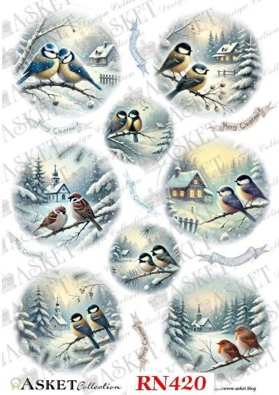 A sheet of circular winter bird illustrations with multiple pairs of birds perched in snowy landscapes, watermarked with 'ASKET Collection' and labeled 'RN420'.