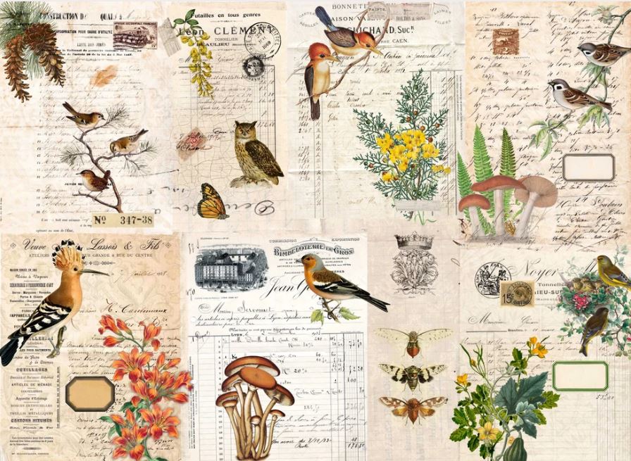 A vintage-style collage print featuring illustrated birds, flowers, mushrooms, insects, handwritten letters, and postage stamps on an aged cream paper background. Roycycled papers
