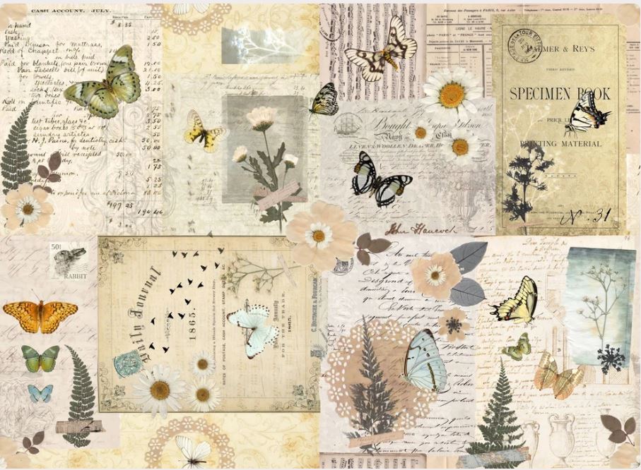 Vintage specimen book collage print featuring butterflies, daisies, ferns, handwritten notes, and aged paper textures in soft beige, cream, muted green, and brown tones. Roycycled papers