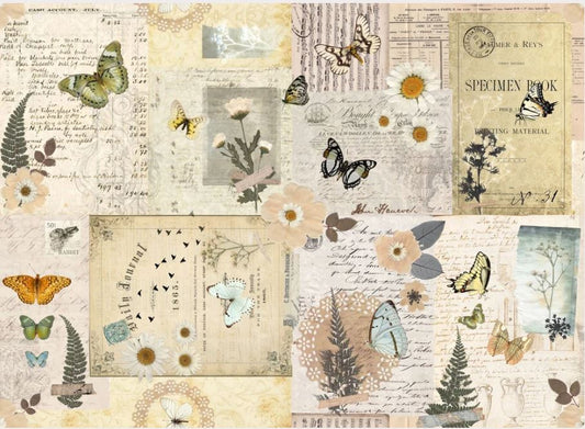 Vintage specimen book collage print featuring butterflies, daisies, ferns, handwritten notes, and aged paper textures in soft beige, cream, muted green, and brown tones. Roycycled papers