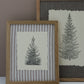 Two framed botanical art prints of pine trees, one with a striped linen background and one with a dark gray linen background, both in light oak frames, displayed on a white surface against a taupe wall. Winter Grove stamp From Iron Orchid Designs. 