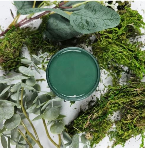 Pot of dark green paint surrounded by different leaves. Paint Couture