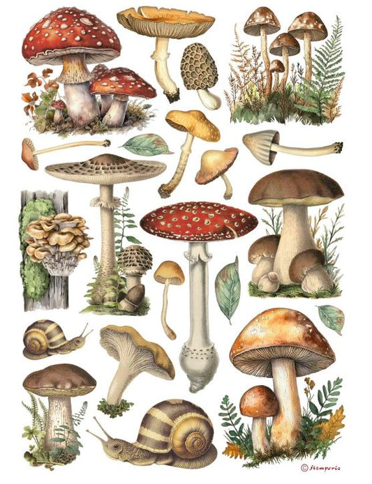 Mushrooms - Stamperia - Rice Papers A4